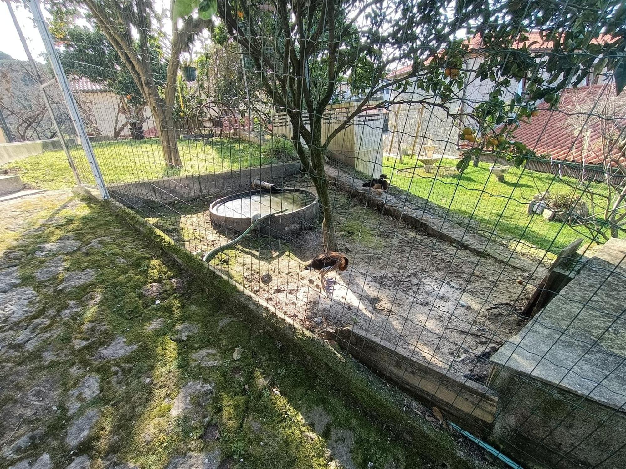 דירות Vila Praia de Âncora Casa De Santa Luzia A מראה חיצוני תמונה